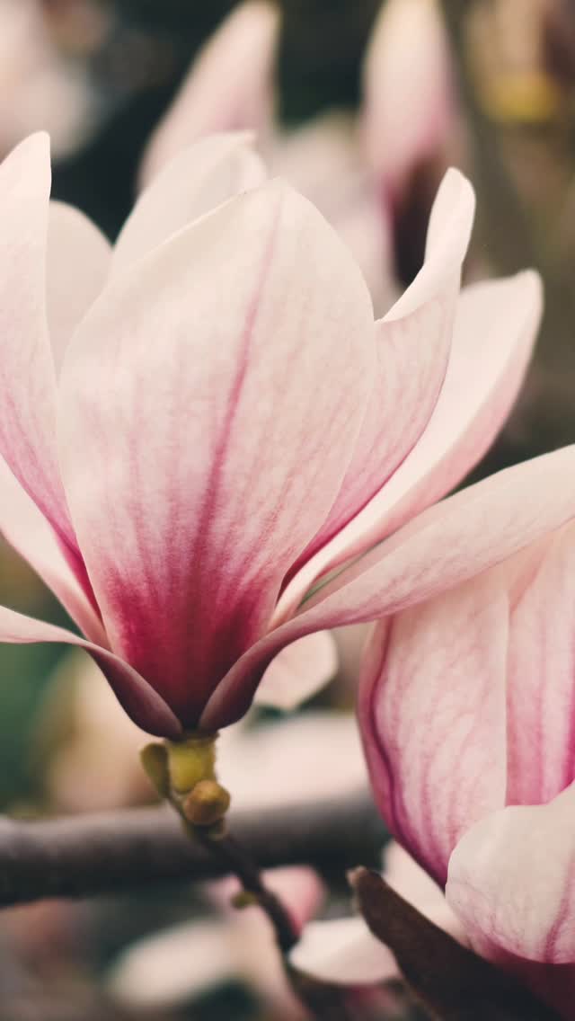🌸 Pamper Your Superhero

Mother's Day is May 11th! Treat the superhero in your life to the gift of choice with a Richel D'Ambra Spa + Salon Gift Card.

Now 20% Off until May 19th!

Link to purchase in our bio.

#forher #formom #mothersday #hardtobuyfor #giftcertificate #giftcard #lastminutegiftideas #uniquegiftsforher #lastminutegift #giftcards #spa #massage #spaday #dayspa #facial #spatreatment #relax #esthetics #facials #spatime #spaexperience #luxuryspa #hotelspa #spatreatments #holiday #spaspecial #gift #philadelphiaspa