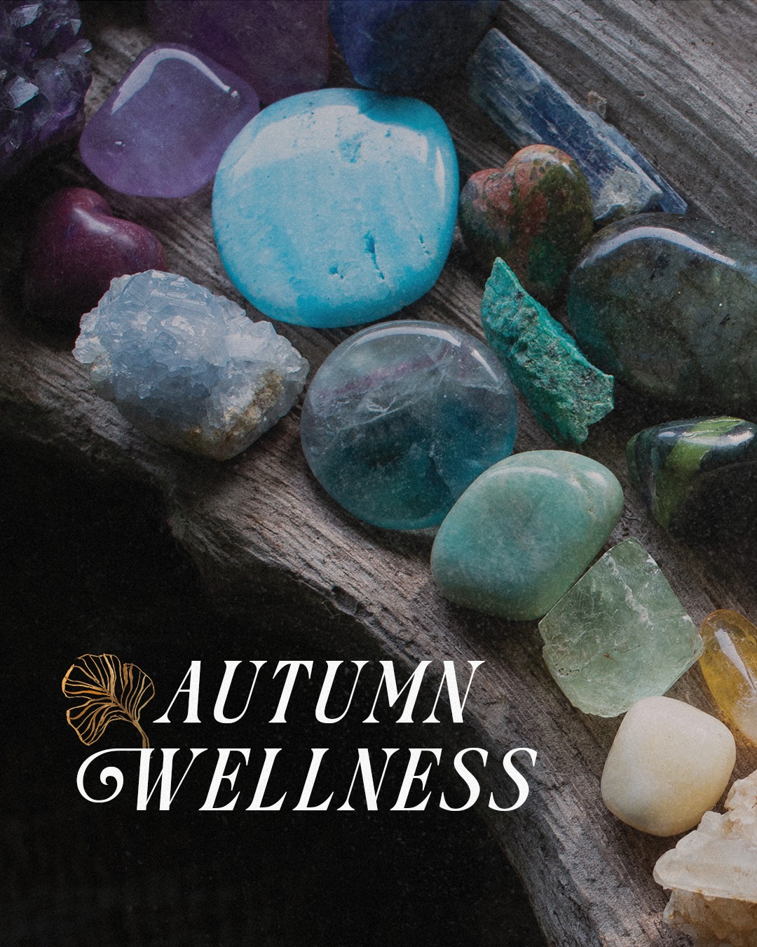 🍂 Slow Down and Restore. 

Our AUTUMN WELLNESS MENU is a thoughtfully curated collection of our favorite treatments designed to restore balance, replenish the skin, and support energetic alignment as we transition into a slower season.

Experience elevated body therapies guided by intention and touch, deeply restorative red light and halotherapy packages for women, and a skin-renewing express facial treatment designed to fit seamlessly into your day, even when time is limited.

Rooted in seasonal rhythms and supported by both ancient and modern techniques, these services are intended to nourish your body, calm your mind, and deliver meaningful results at a pace that works for you—because even a little time can restore a lot.

Curated for the season. Designed for your soul.

Available now through November. Book your autumn reset today.

#AutumnWellness #SlowDownAndRestore #FallReset #SeasonalSelfCare #HolisticHealing #SlowLiving #MindBodyBalance #ChakraBalancing #Reiki #ZenTissueTherapy #EnergyWork #Halotherapy #RedLightTherapy #ExpressFacial #WellnessForWomen #PhiladelphiaSpa #RichelDAmbraSpa